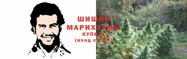 Альфа ПВП Аркадак
