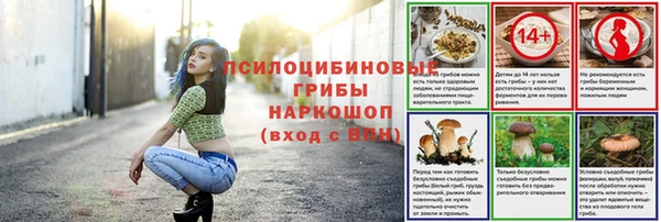 ALPHA PVP Армянск