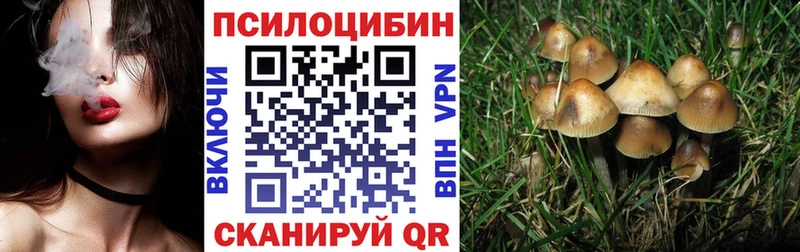 хочу   Гороховец  Галлюциногенные грибы GOLDEN TEACHER 