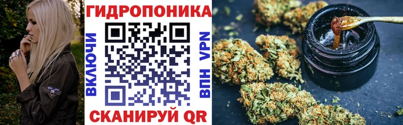 как найти   Гороховец  Конопля Amnesia 